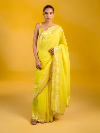 Golden hour mustard sari