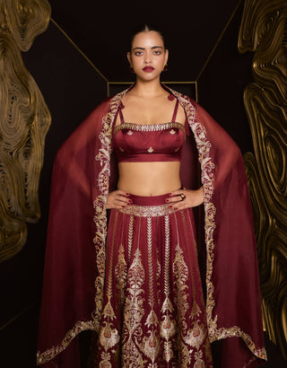 Garnet forever mine lehenga set