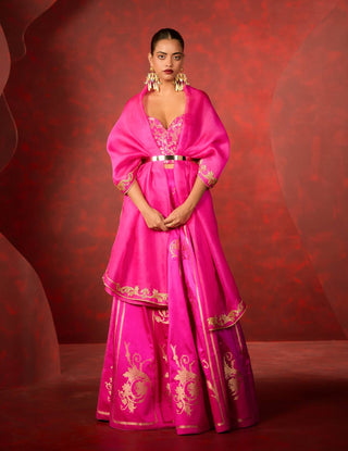 Ekaya Rani Pink Vixen Lehenga Set available on indiaspopup