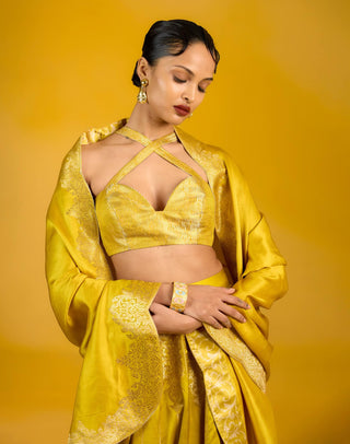 Ekaya Phoenix Mustard Lehenga available on indiaspopup