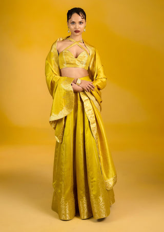 Ekaya Phoenix Mustard Lehenga available on indiaspopup