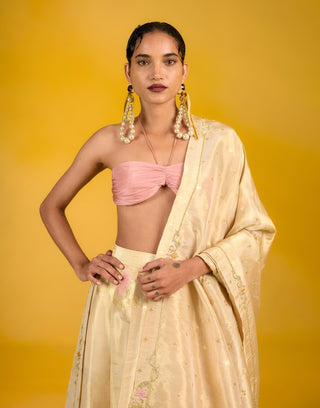 Ekaya Golden Glow Lehenga available on indiaspopup