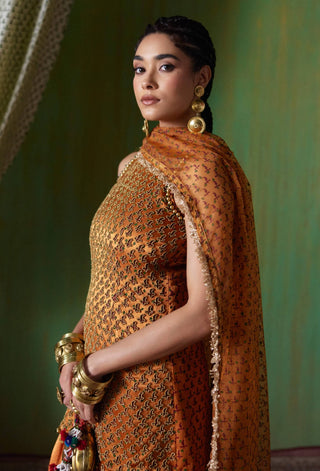 Shabana embroidered kurta and palazzo set