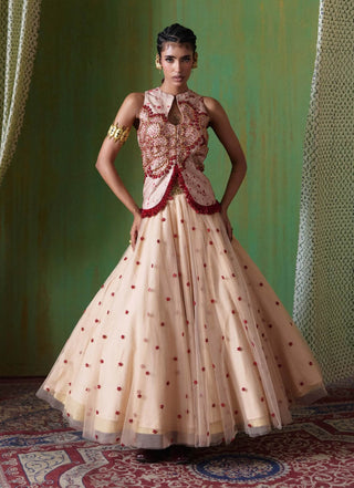 Phoolkari embellished bodice with skirt