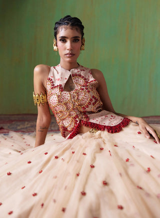 Phoolkari embellished bodice with skirt