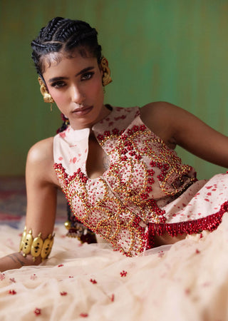Phoolkari embellished bodice with skirt