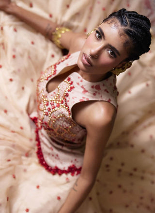 Phoolkari embellished bodice with skirt
