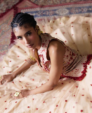 Phoolkari embellished bodice with skirt