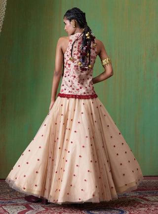 Phoolkari embellished bodice with skirt