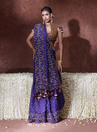 Yasmin embroidered sari with tassel blouse