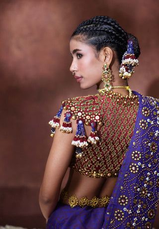 Yasmin embroidered sari with tassel blouse