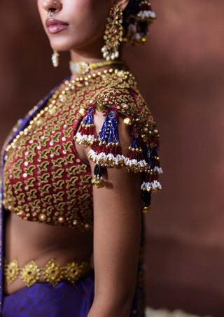 Yasmin embroidered sari with tassel blouse