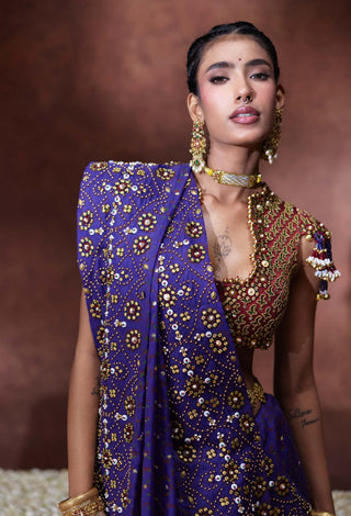 Yasmin embroidered sari with tassel blouse