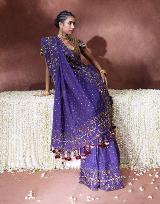 Yasmin embroidered sari with tassel blouse