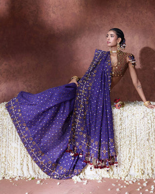 Mala embroidered sari with embellished blouse