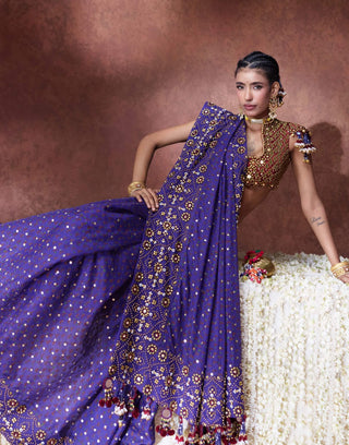 Mala embroidered sari with embellished blouse