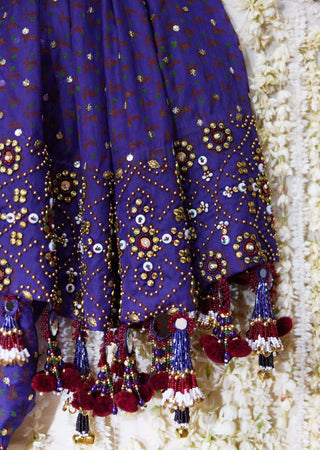 Mala embroidered sari with embellished blouse