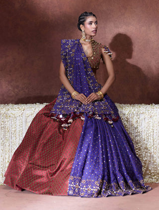 Mala embroidered sari with embellished blouse