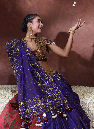 Mala embroidered sari with embellished blouse
