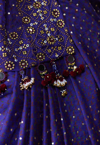 Mala embroidered sari with embellished blouse