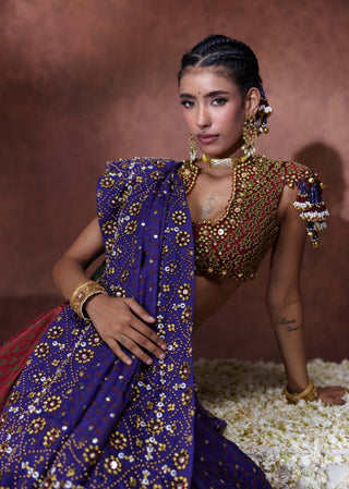 Mala embroidered sari with embellished blouse