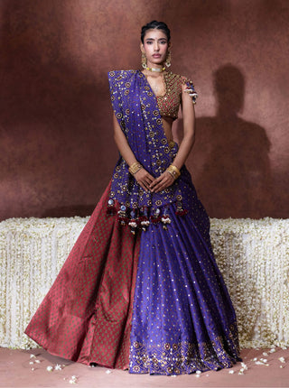 Mala embroidered sari with embellished blouse