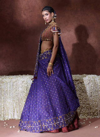 Mala embroidered sari with embellished blouse
