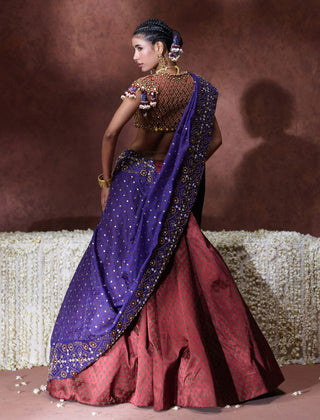 Mala embroidered sari with embellished blouse