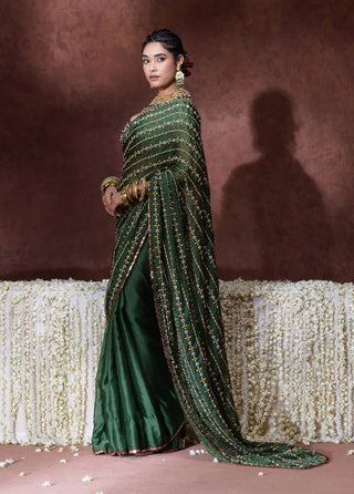 Nanda embroidered sari with mirror work blouse