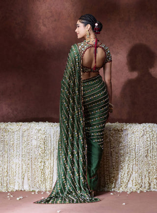 Nanda embroidered sari with mirror work blouse