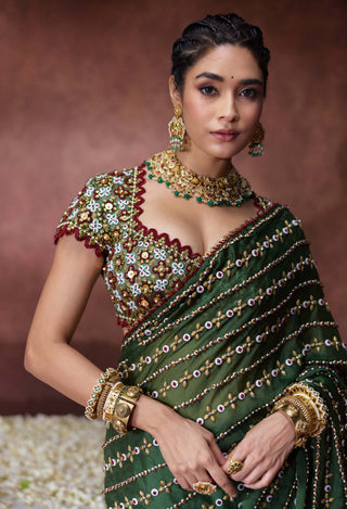 Nanda embroidered sari with mirror work blouse