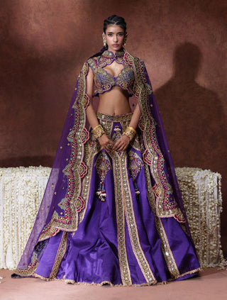 Padmini embroidered lehenga set