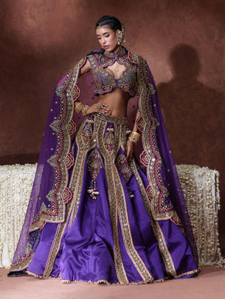 Padmini embroidered lehenga set