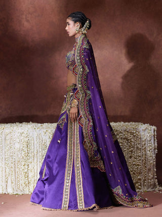 Padmini embroidered lehenga set