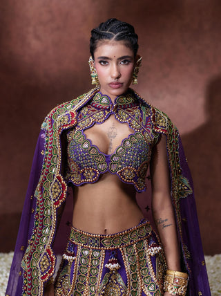Padmini embroidered lehenga set