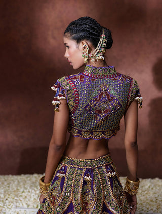 Padmini embroidered lehenga set