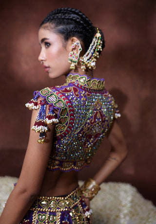 Padmini embroidered lehenga set