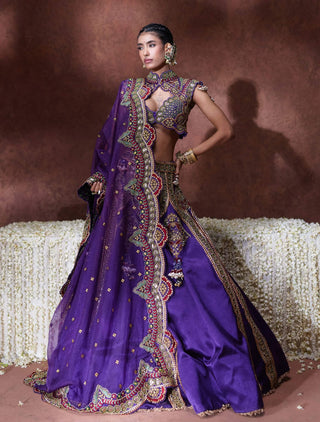 Padmini embroidered lehenga set