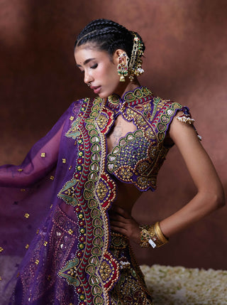Padmini embroidered lehenga set