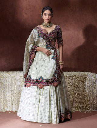 Indrani embroidered blouse with pleated skirt and draped sari