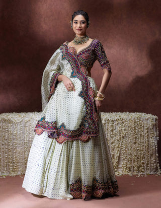 Indrani embroidered blouse with pleated skirt and draped sari