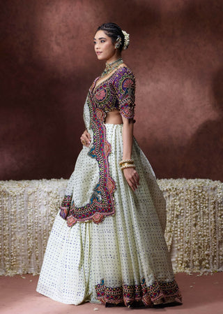 Indrani embroidered blouse with pleated skirt and draped sari