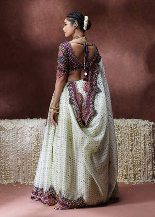 Indrani embroidered blouse with pleated skirt and draped sari