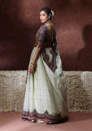 Indrani embroidered blouse with pleated skirt and draped sari