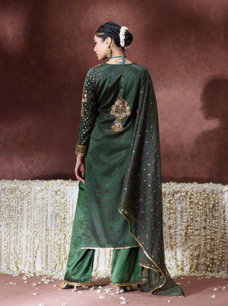 Reet embellished kurta set with dupatta