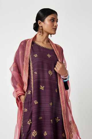 Payal Pratap-Fuchsia Purple Zaina Embroidered Kurta Set-INDIASPOPUP.COM