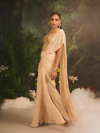 Stardust beige sari and corset