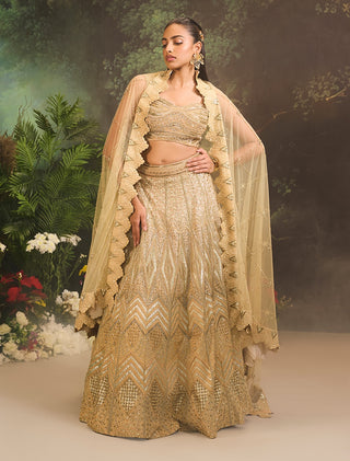 Jade gold embroidered lehenga set