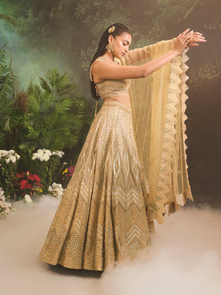 Jade gold embroidered lehenga set