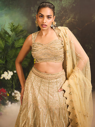 Jade gold embroidered lehenga set